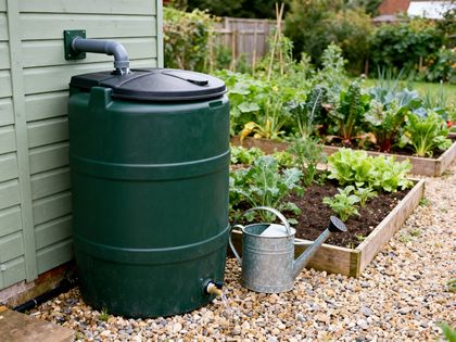 Dunkelgrüner Regenwassertank an einer Gartenhauswand mit Fallrohranschluss